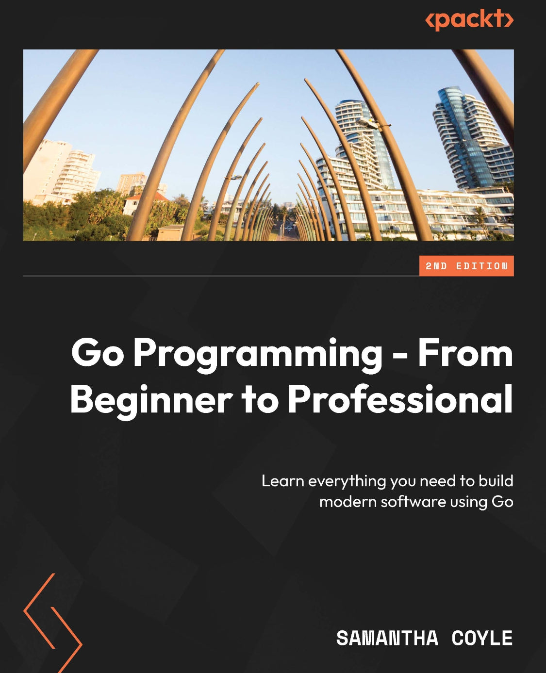 Go Programming, From Beginner to Professional image 0