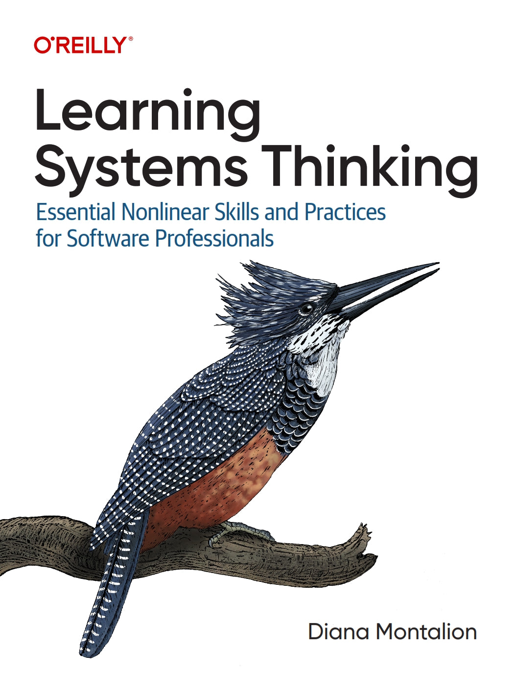 Learning Systems Thinking image 0