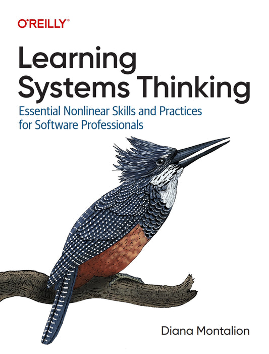 Learning Systems Thinking image 0