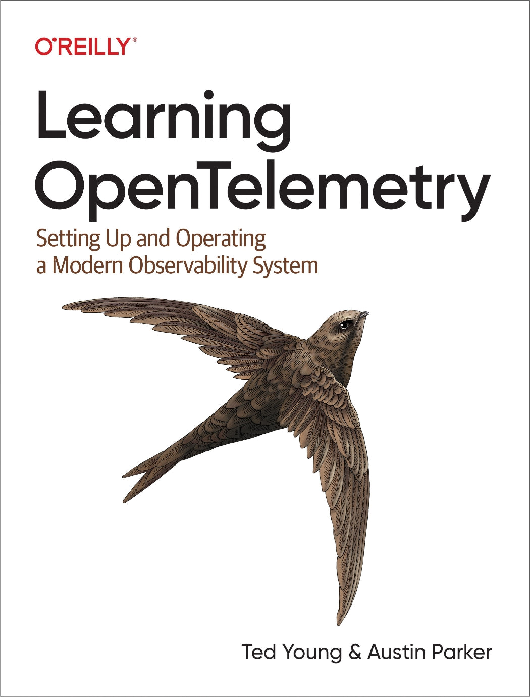Learning OpenTelemetry image 0