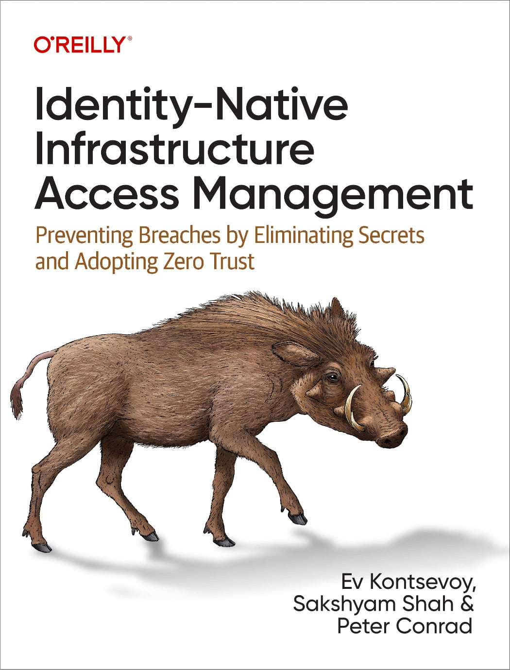 Identity-Native Infrastructure Access Management image 0