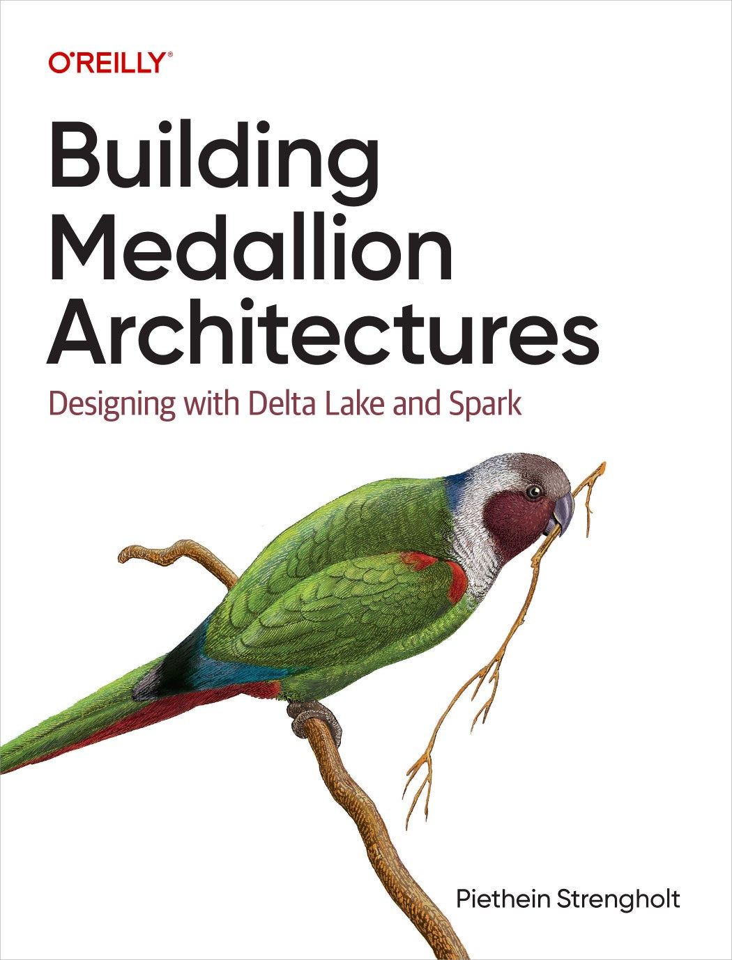 Building Medallion Architecture image 0
