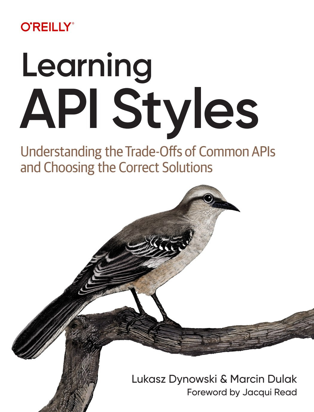Learning API Styles image 0