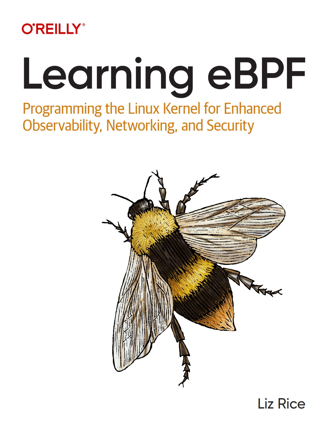 Learning eBPF image 0