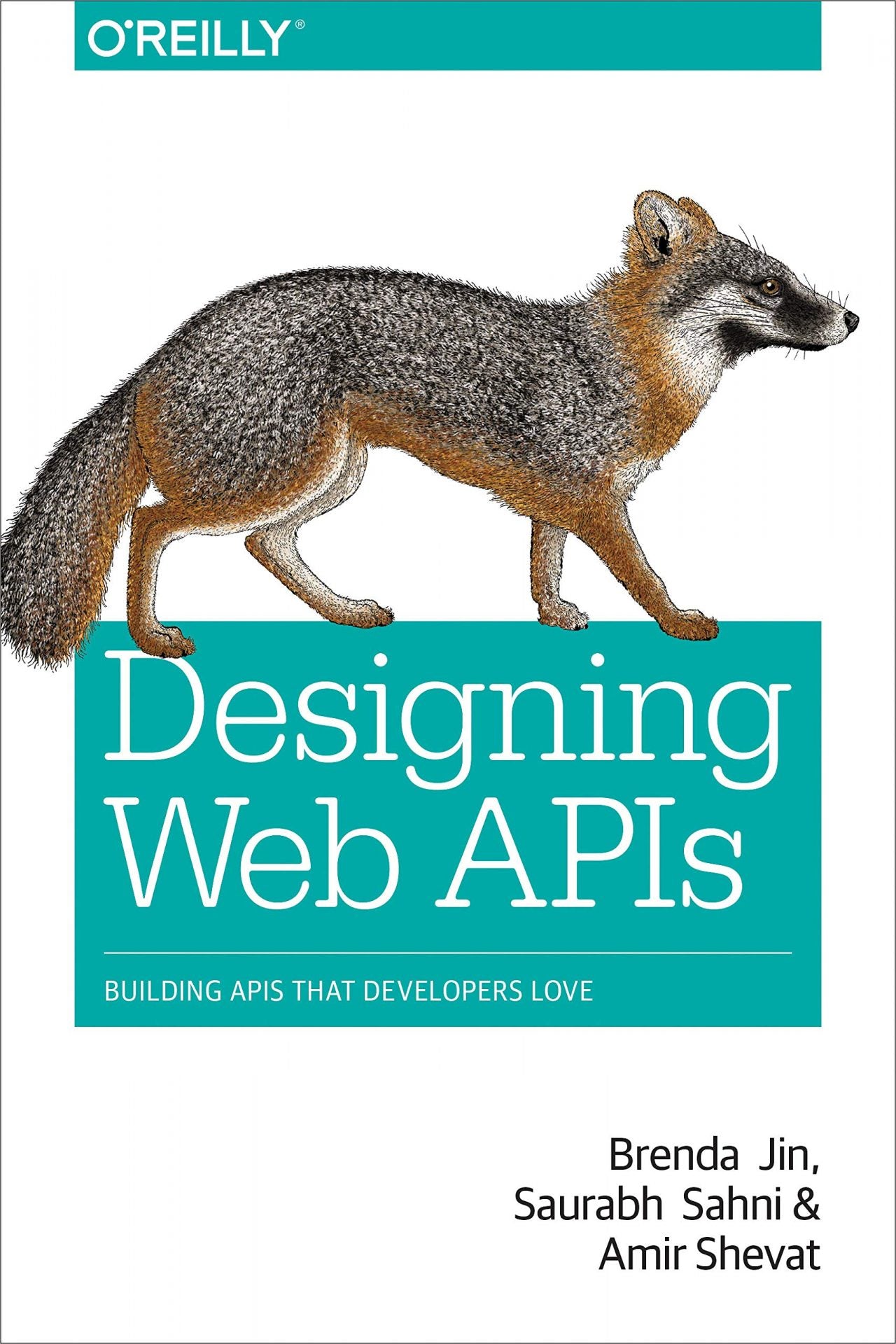 Designing Web APIs image 0