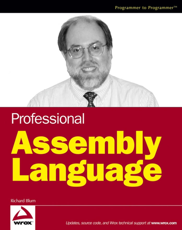 Professional Assembly Language image 0
