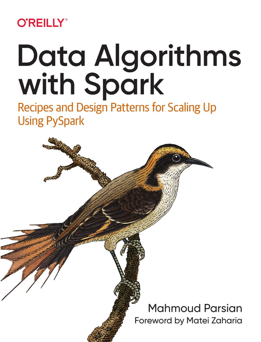 Data Algorithms with Spark image 0