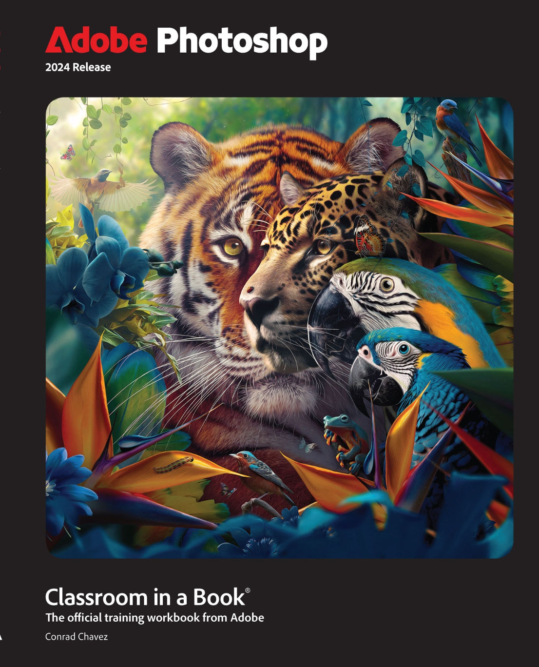 Adobe Photoshop Classroom in a Book, 2024 Release image 0