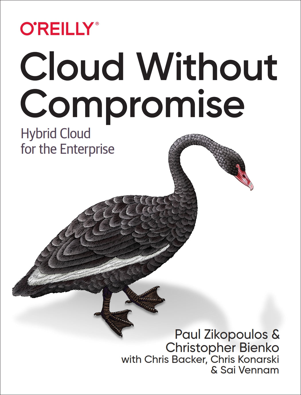 Cloud Without Compromise image 0