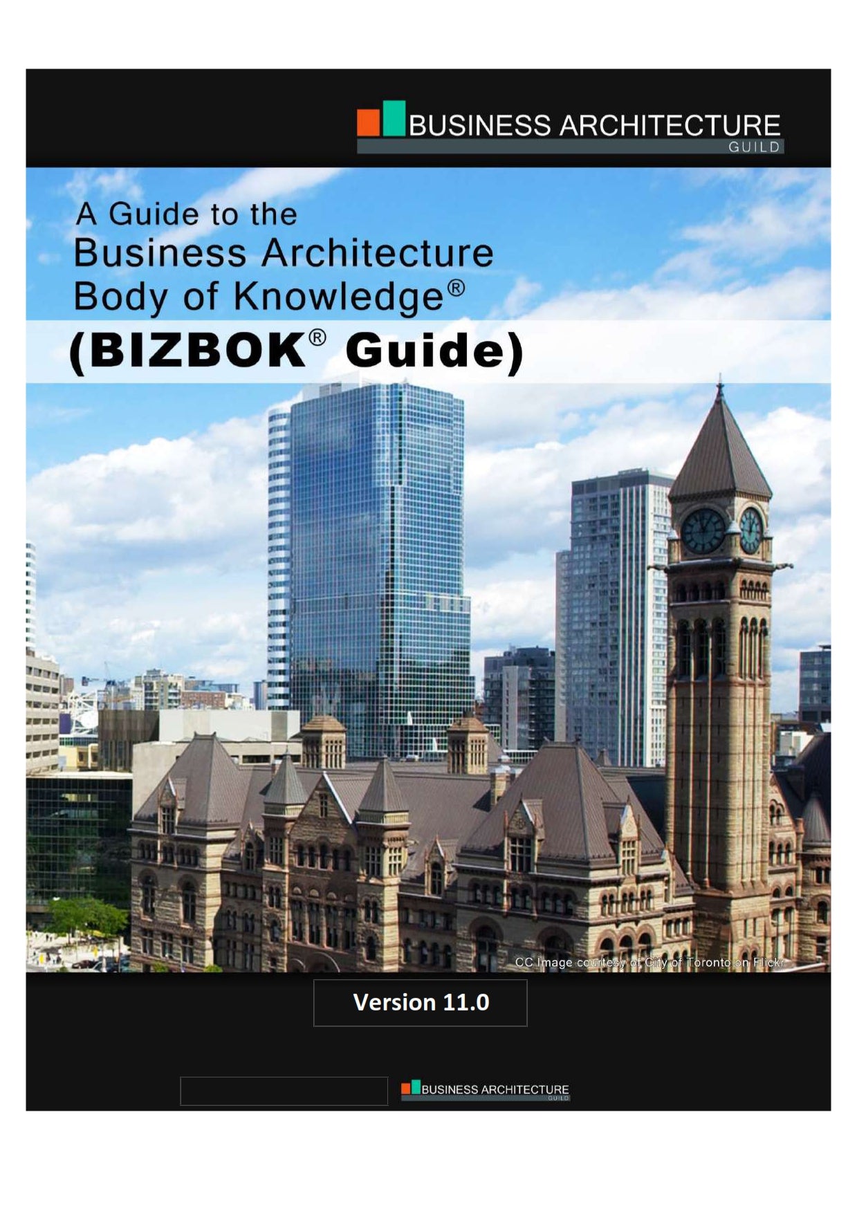 BIZBOK V11, A Guide to the Business Architecture Body of Knowledge image 0
