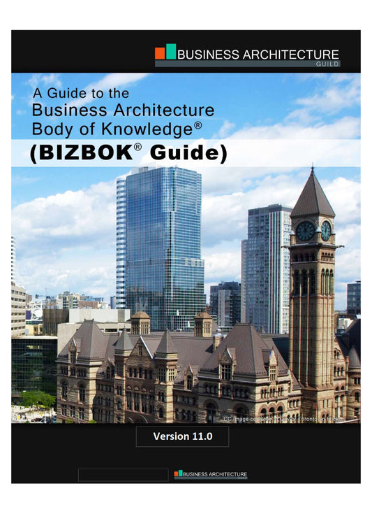 BIZBOK V11, A Guide to the Business Architecture Body of Knowledge image 0
