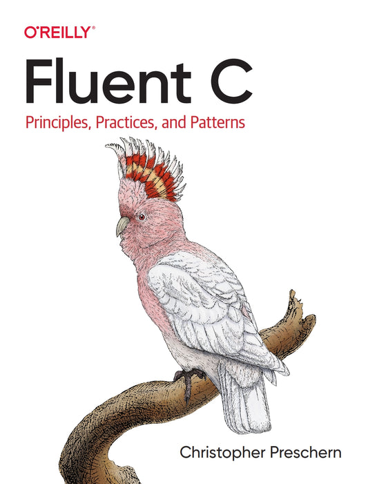 Fluent C image 0