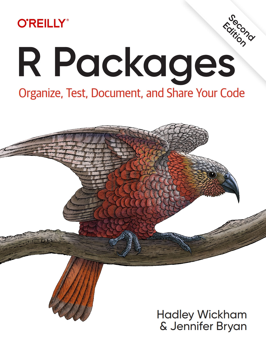 R Packages image 0