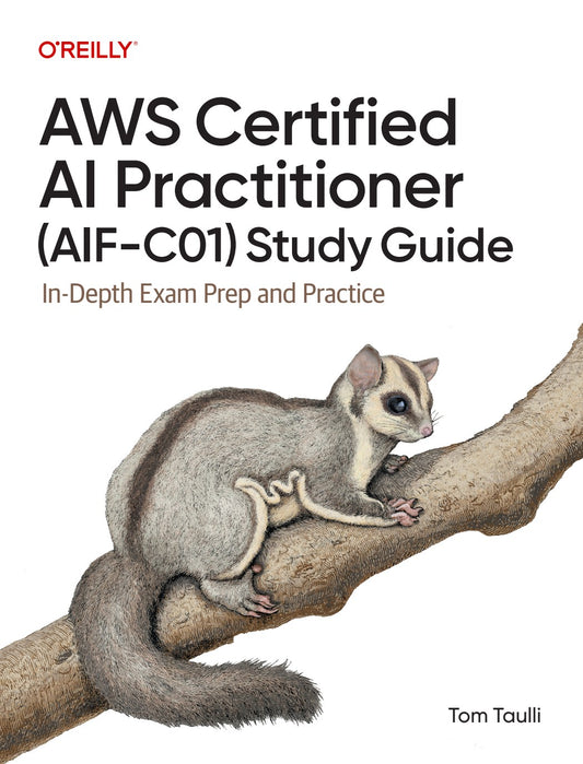 AWS Certified AI Practitioner Study Guide image 0