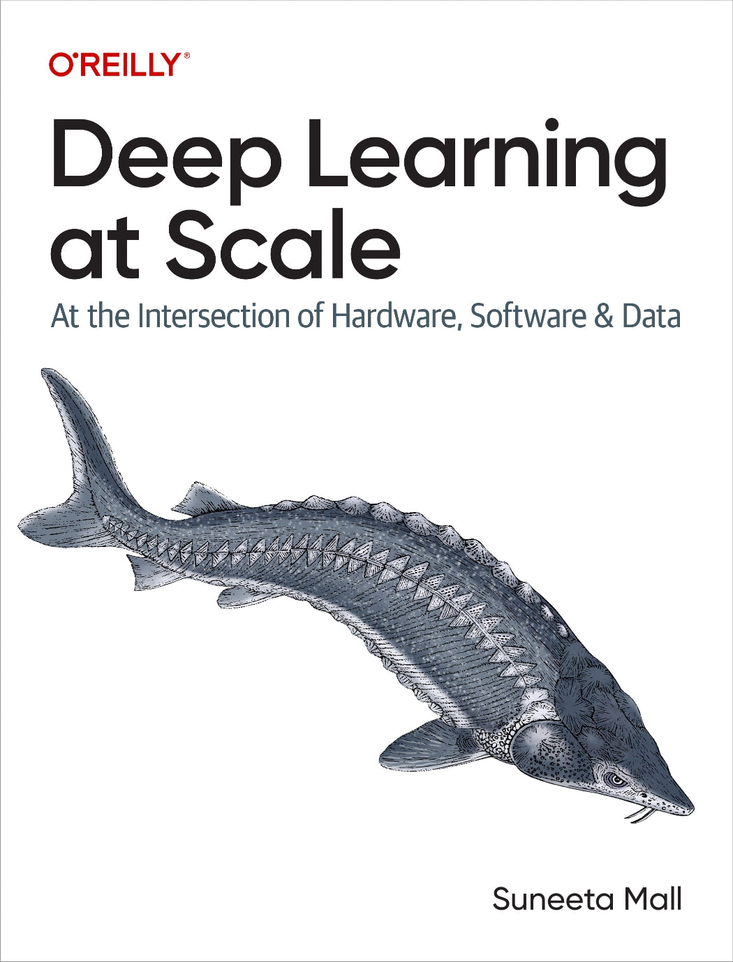 Deep Learning at Scale image 0