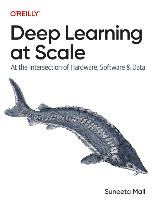 Deep Learning at Scale image 0