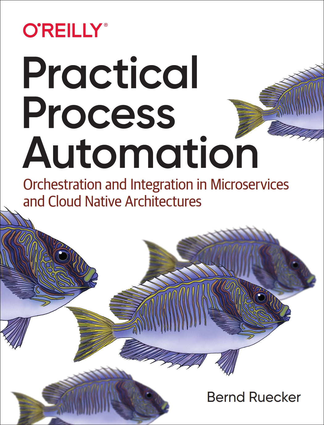 Practical Process Automation image 0