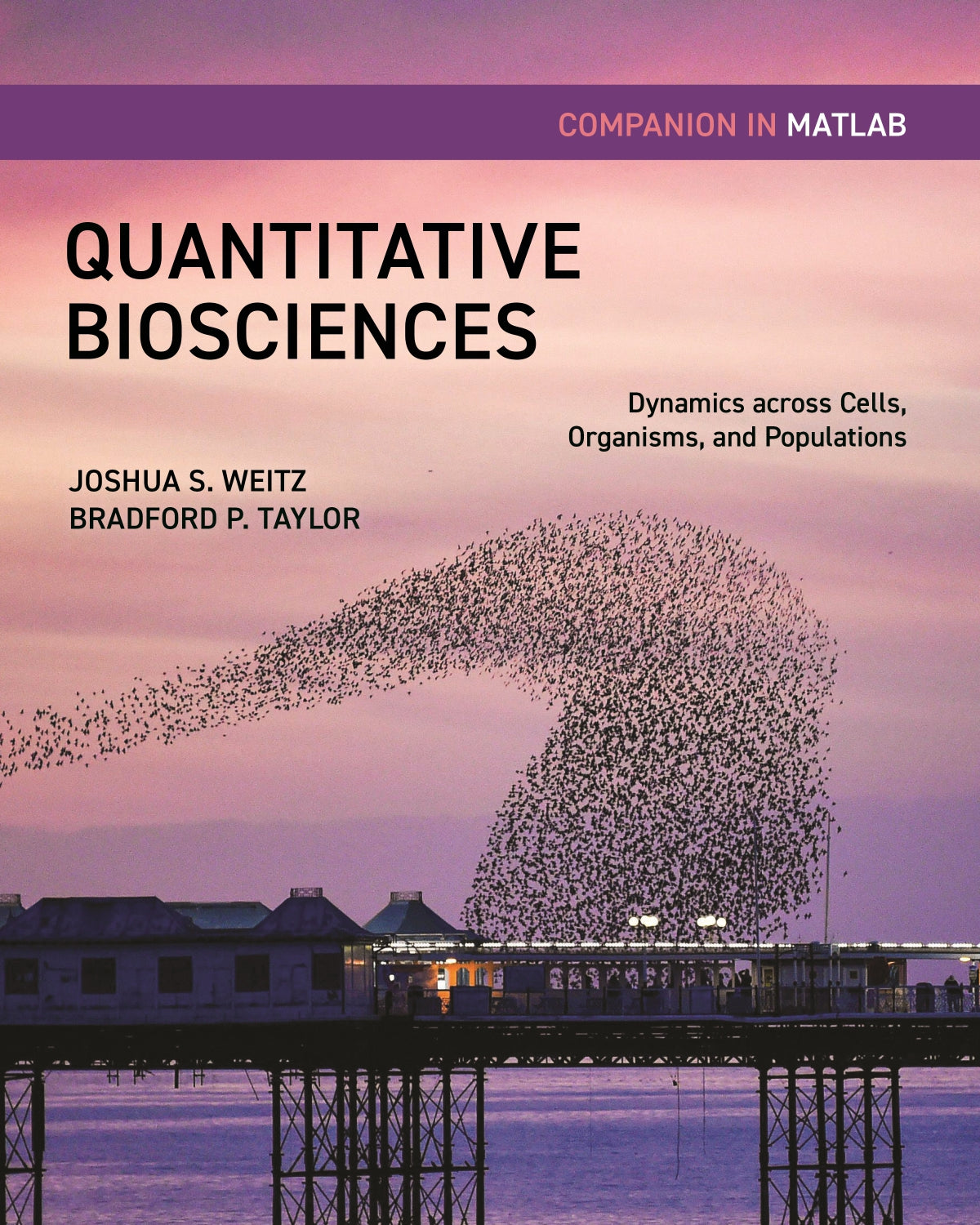 Quantitative Biosciences, Companion in MATLAB image 0