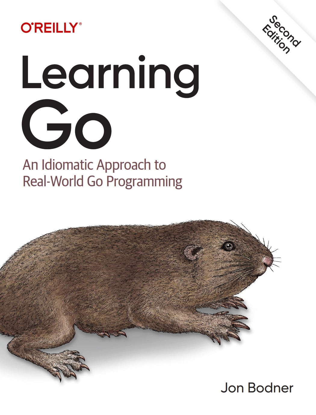 Learning Go image 0