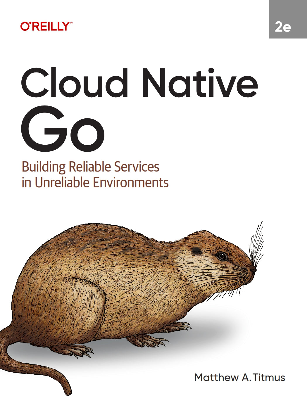 Cloud Native Go image 0