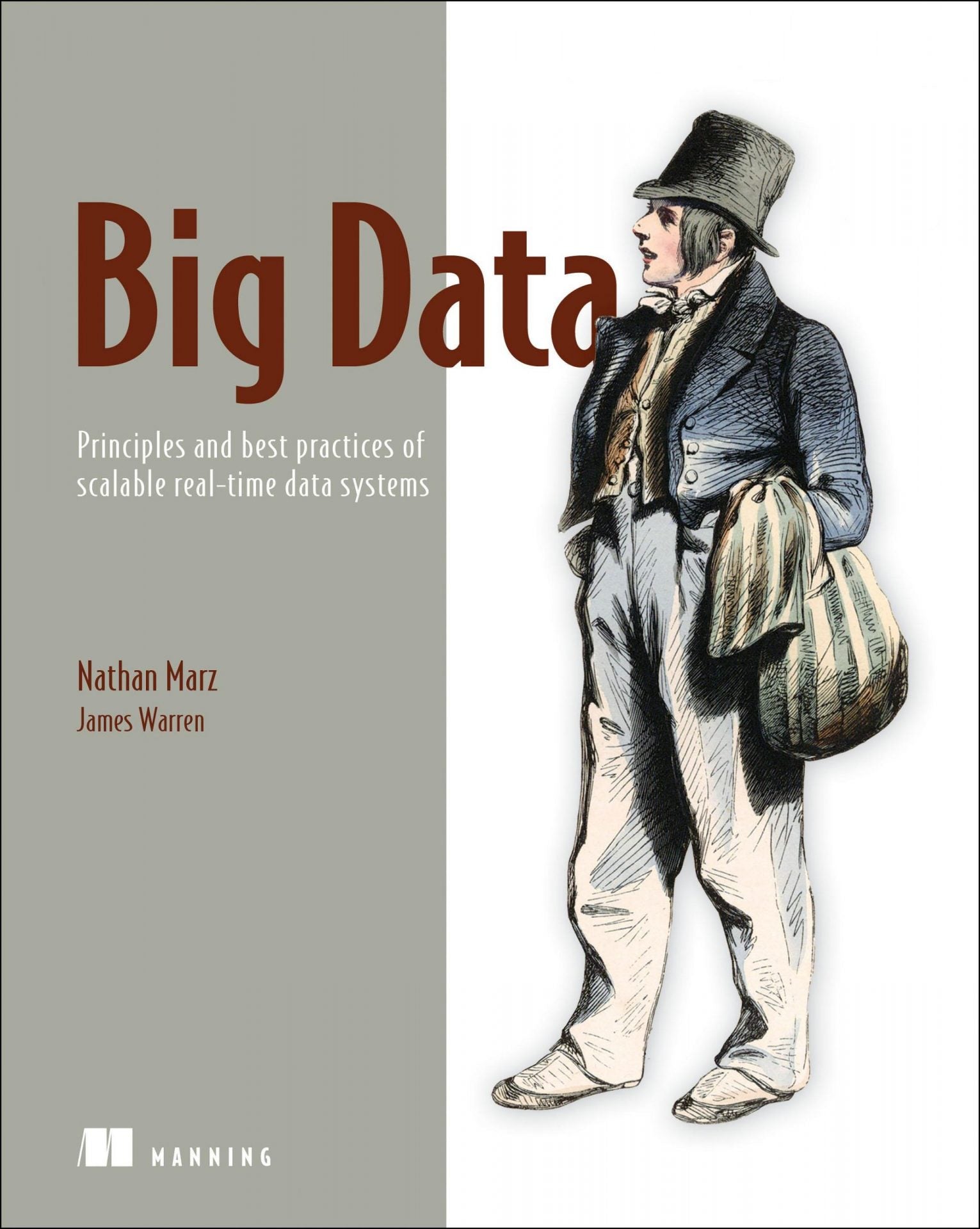 Big Data, Principles and Best Practices of Scalable Realtime Data Systems image 0