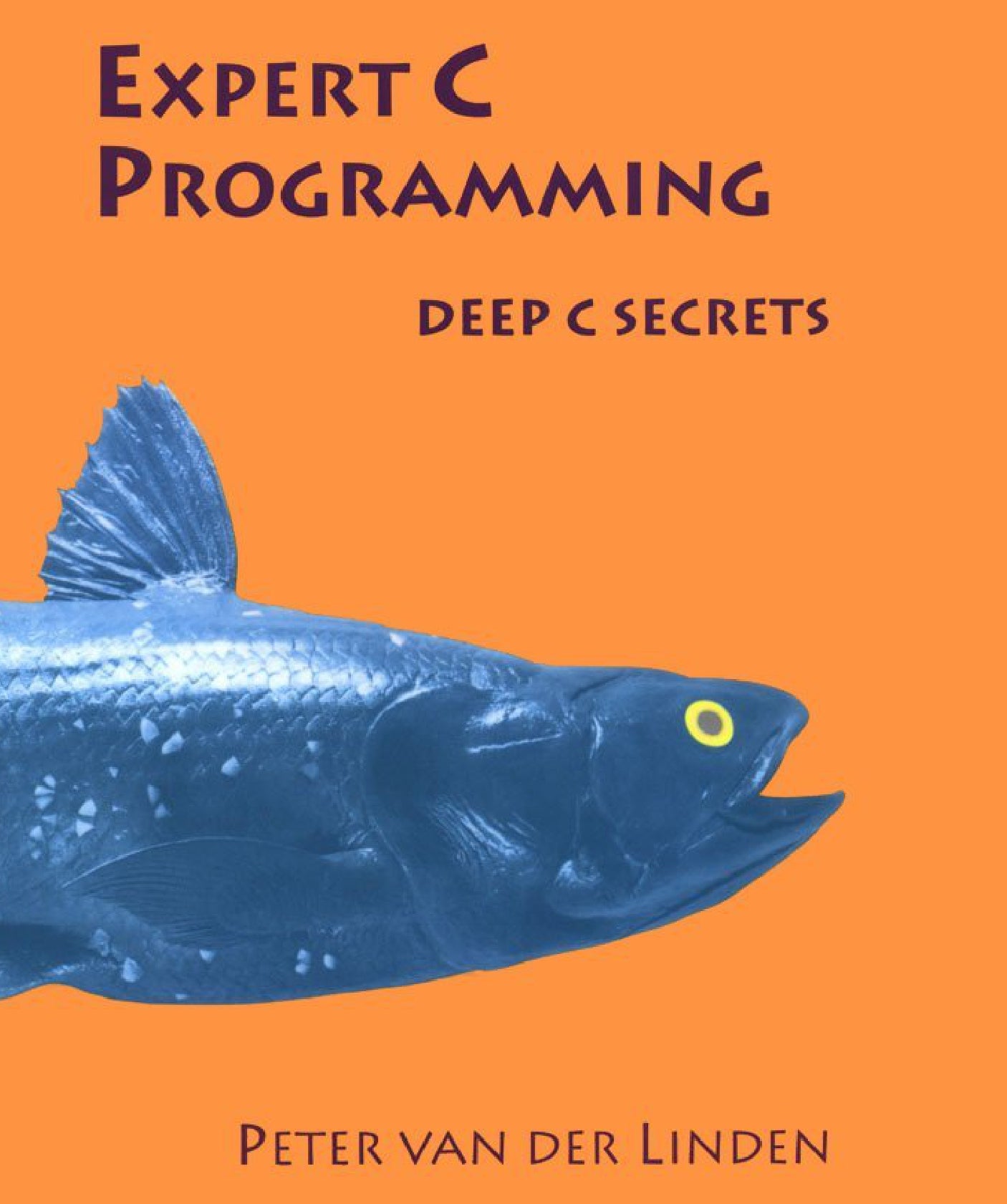 Expert C Programming image 0