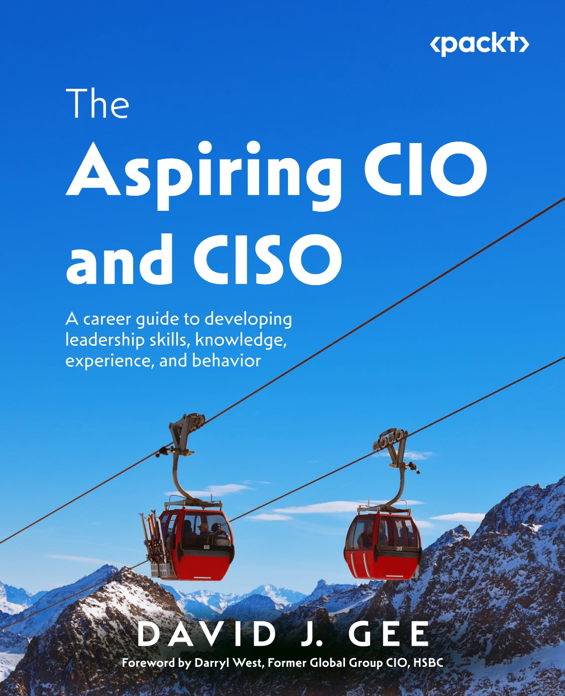 The Aspiring CIO and CISO image 0