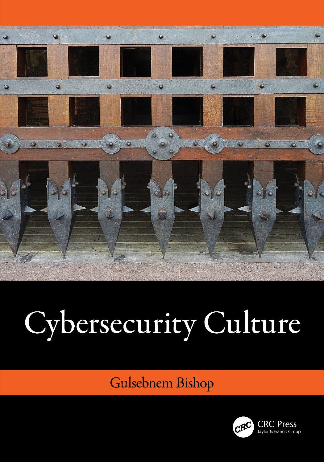 Cybersecurity Culture image 0