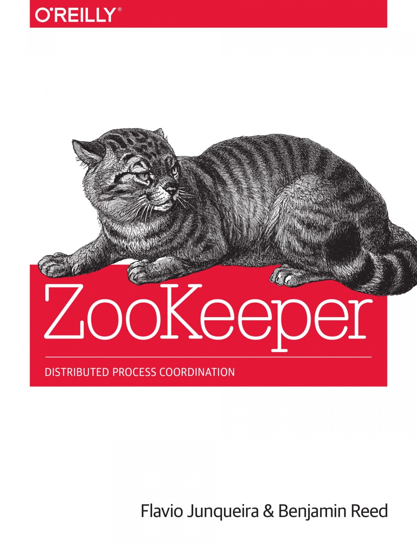 ZooKeeper, Distributed Process Coordination image 0