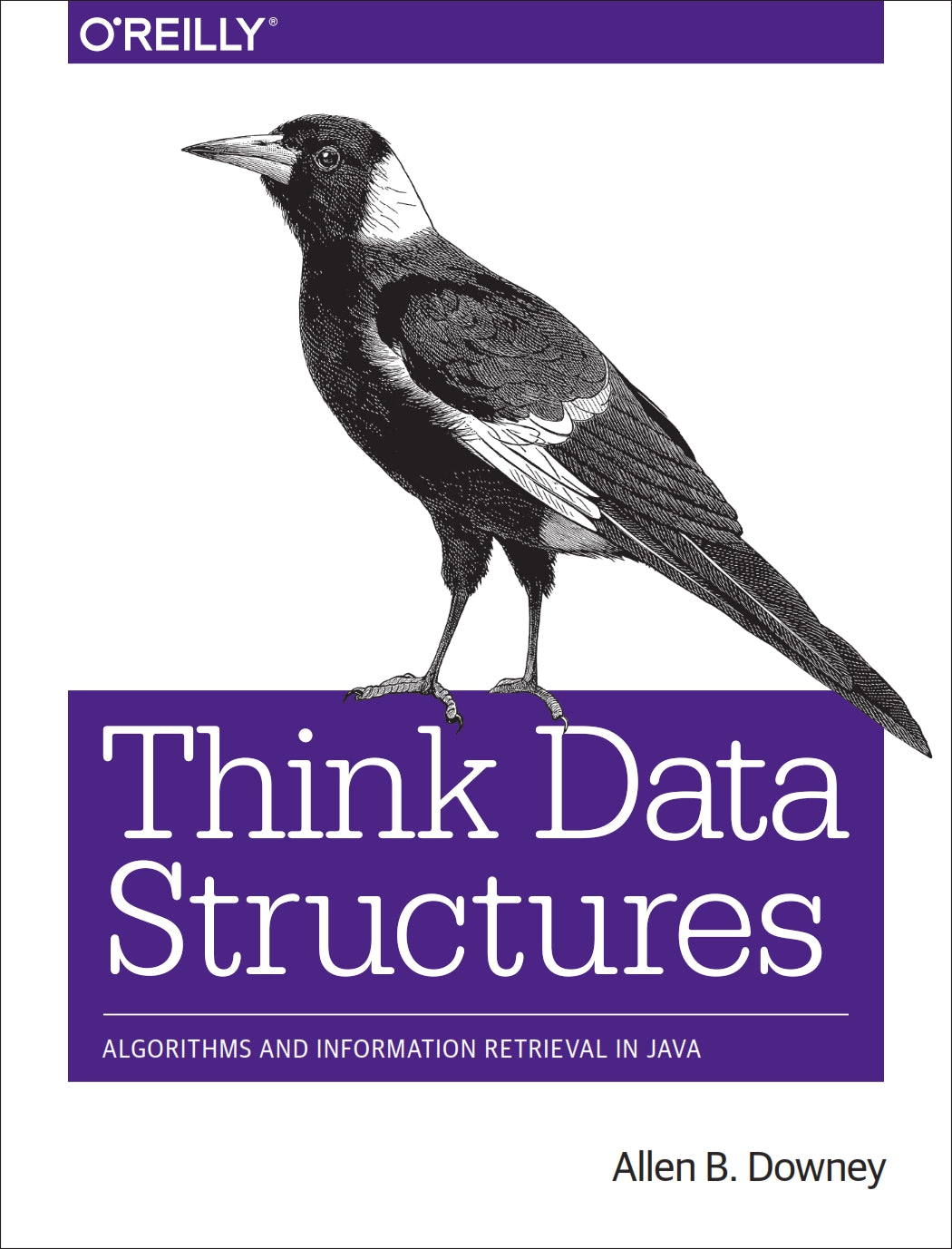 Think Data Structures image 0