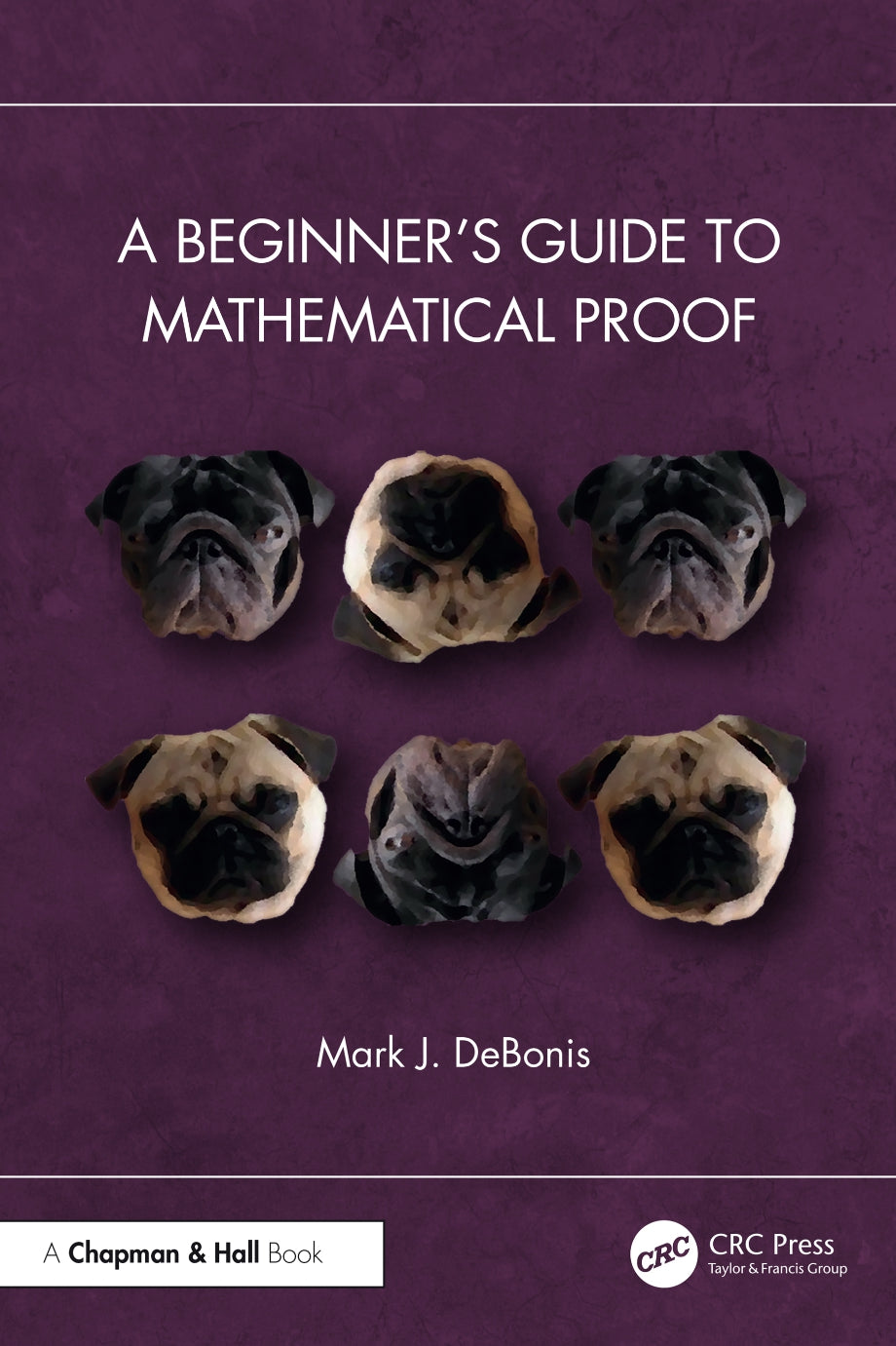 A Beginner’s Guide to Mathematical Proof image 0
