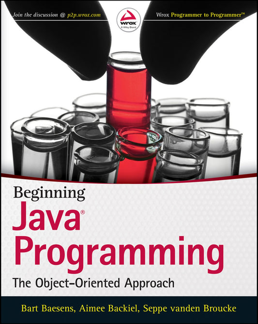 Beginning Java Programming image 0
