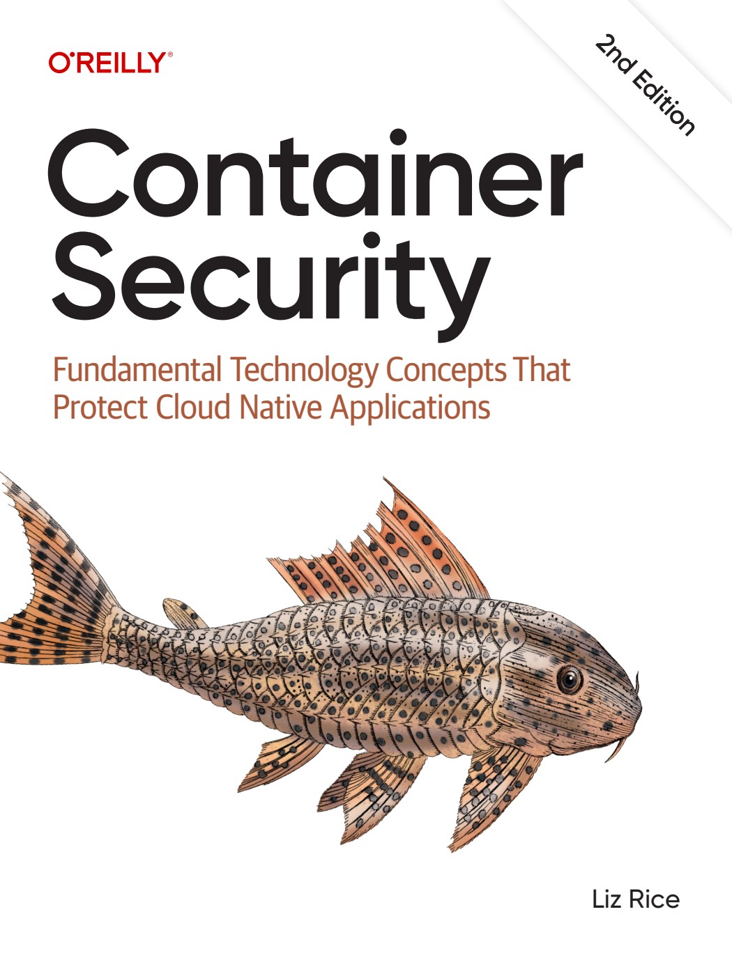 Container Security image 0