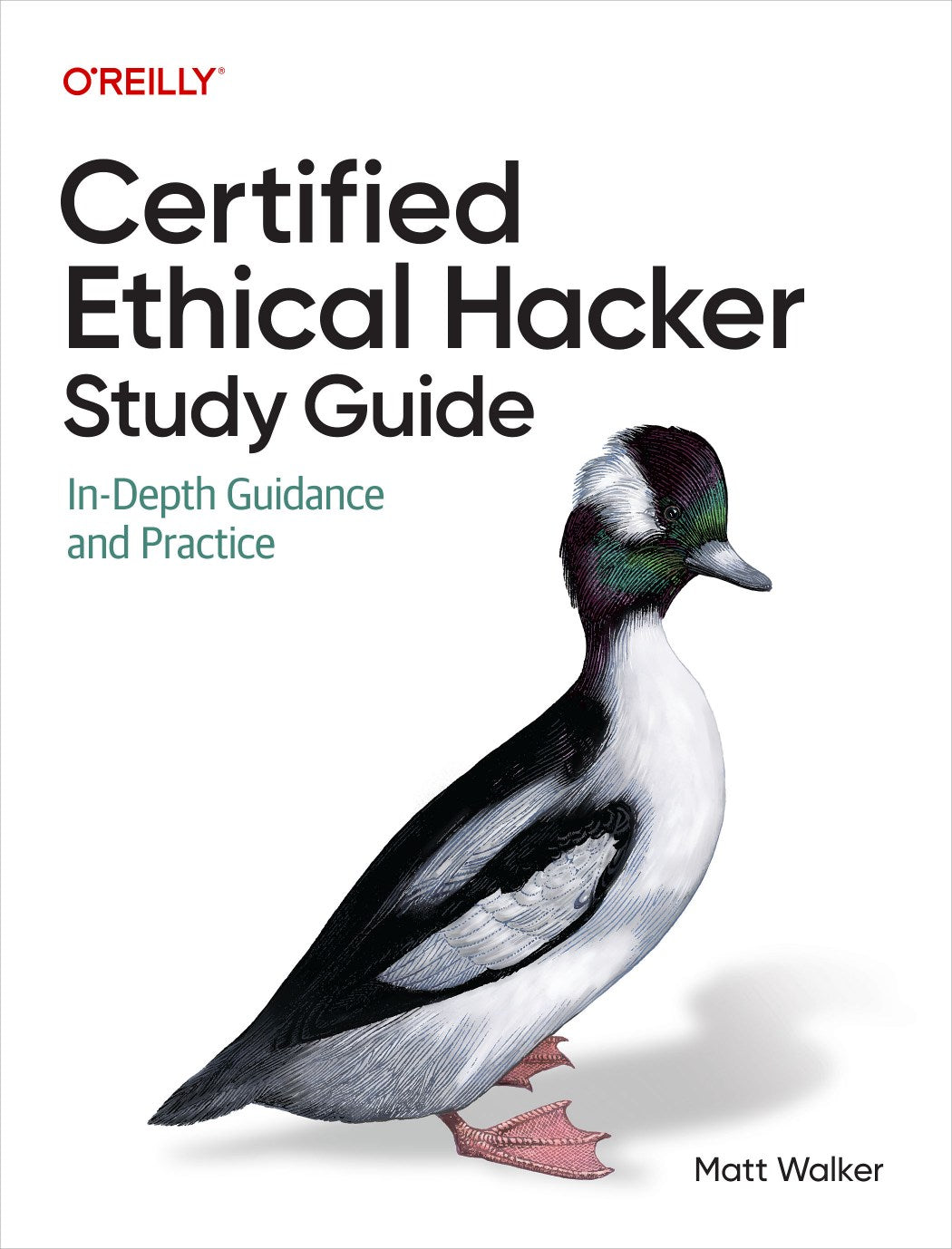 Certified Ethical Hacker (CEH) Study Guide image 0