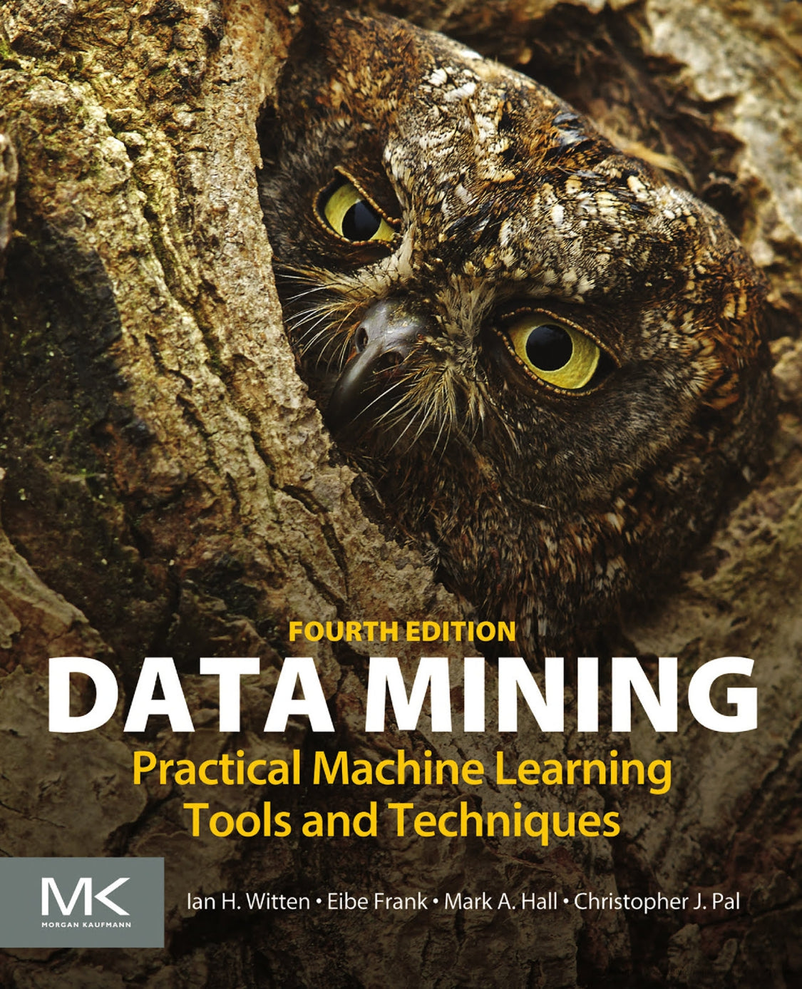 Data Mining, Practical Machine Learning Tools and Techniques image 0