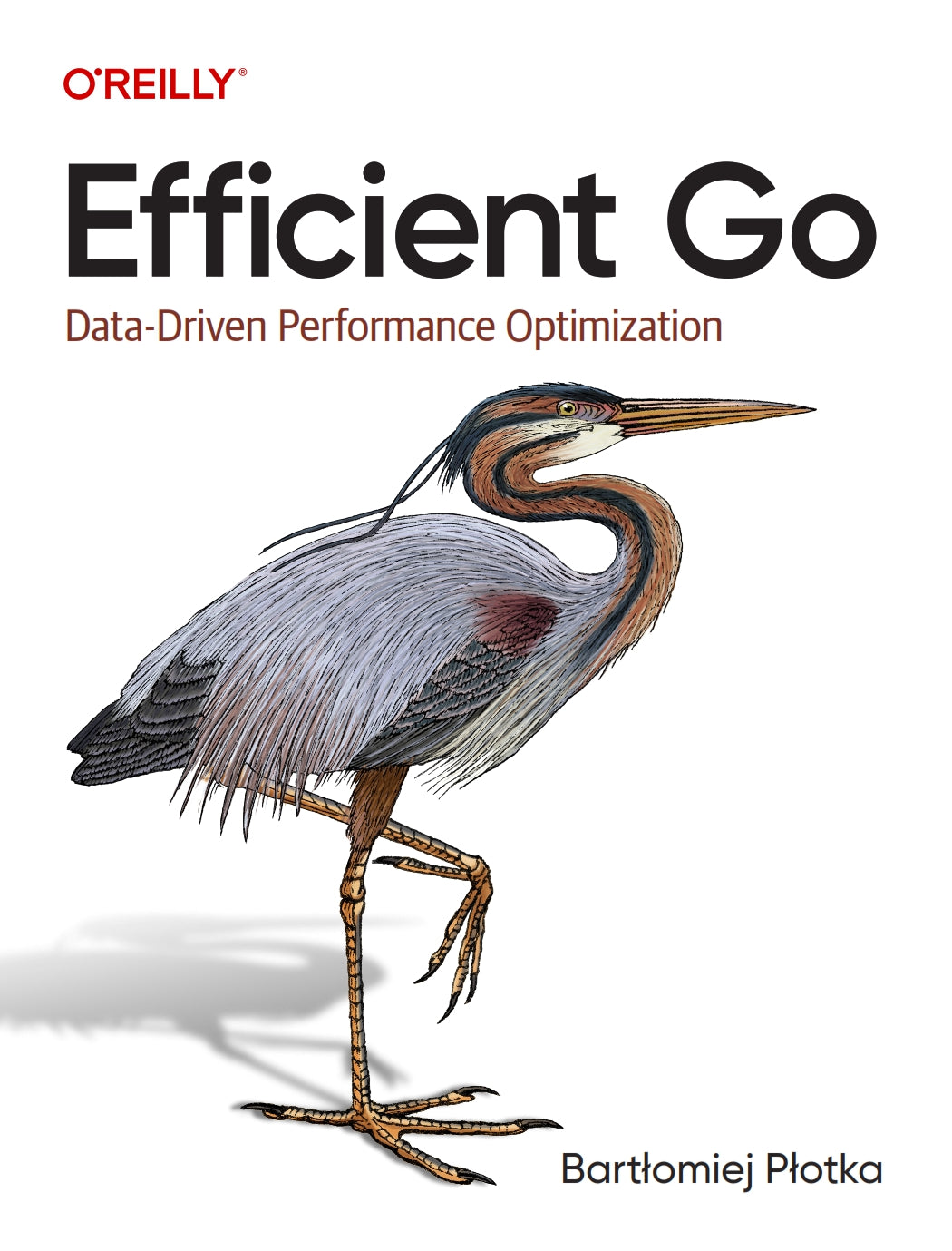 Efficient Go image 0