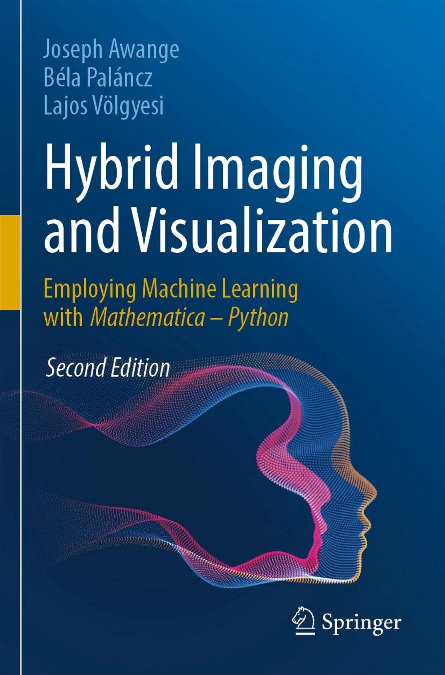 Hybrid Imaging and Visualization image 0
