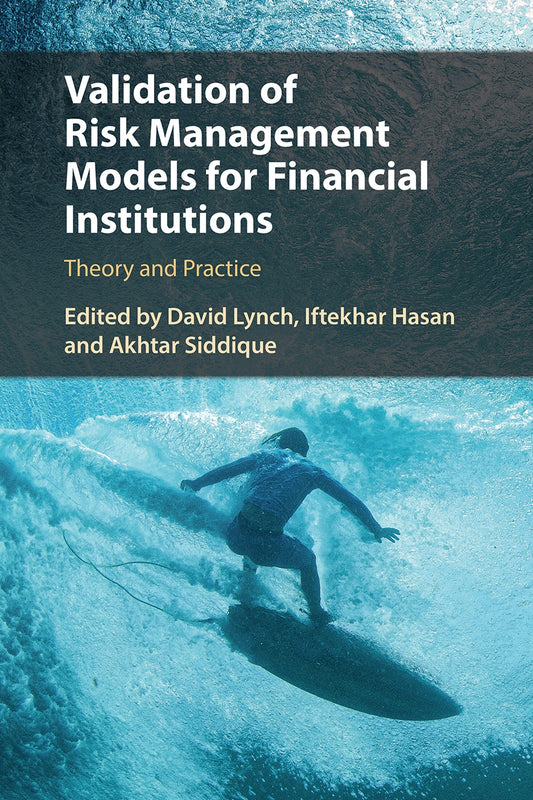 Validation of Risk Management Models for Financial Institutions, Theory and Practice image 0