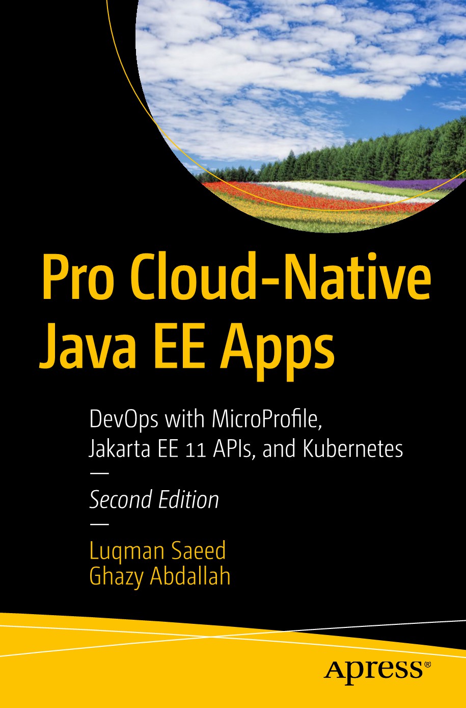 Pro Cloud-Native Java EE Apps image 0