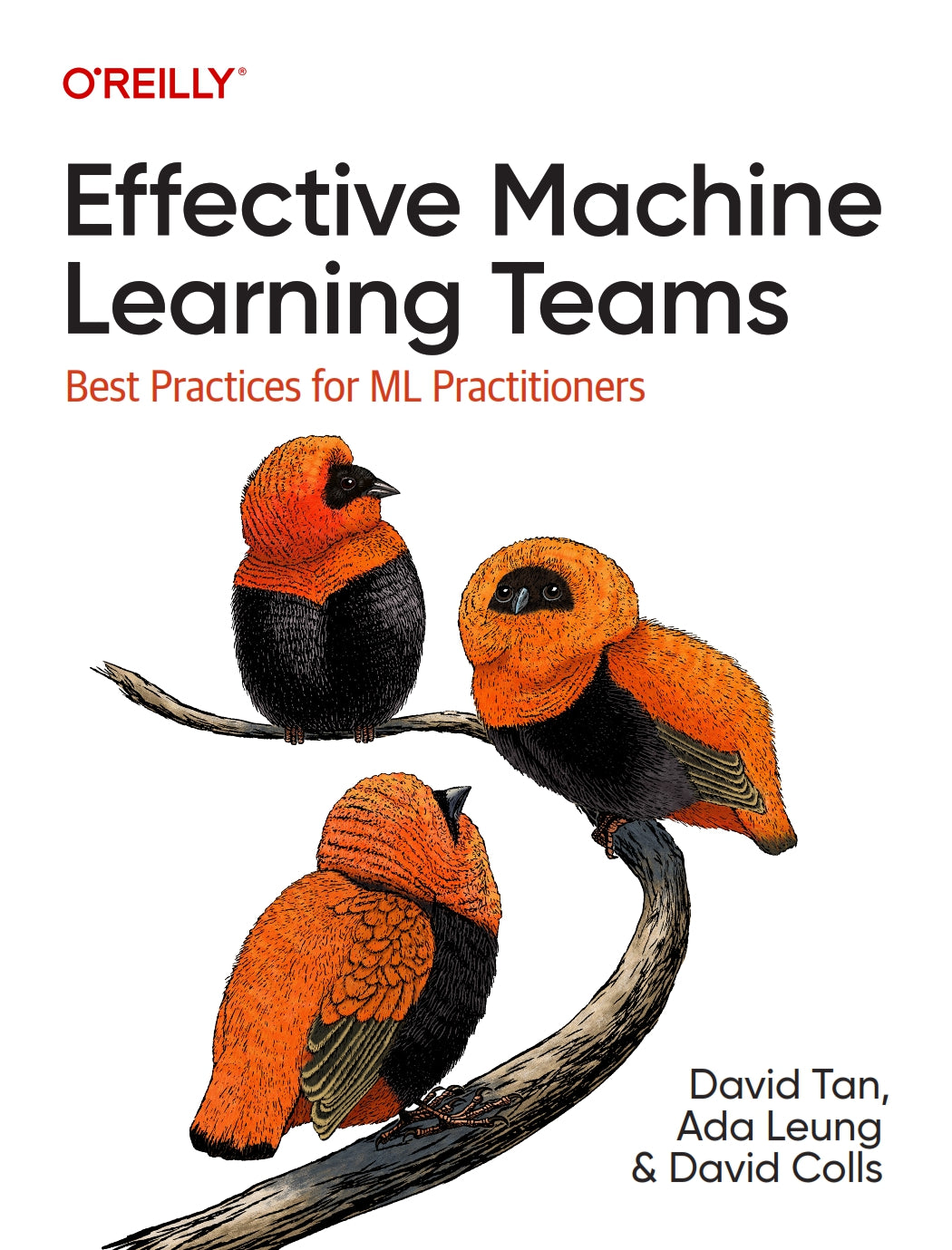 Effective Machine Learning Teams image 0