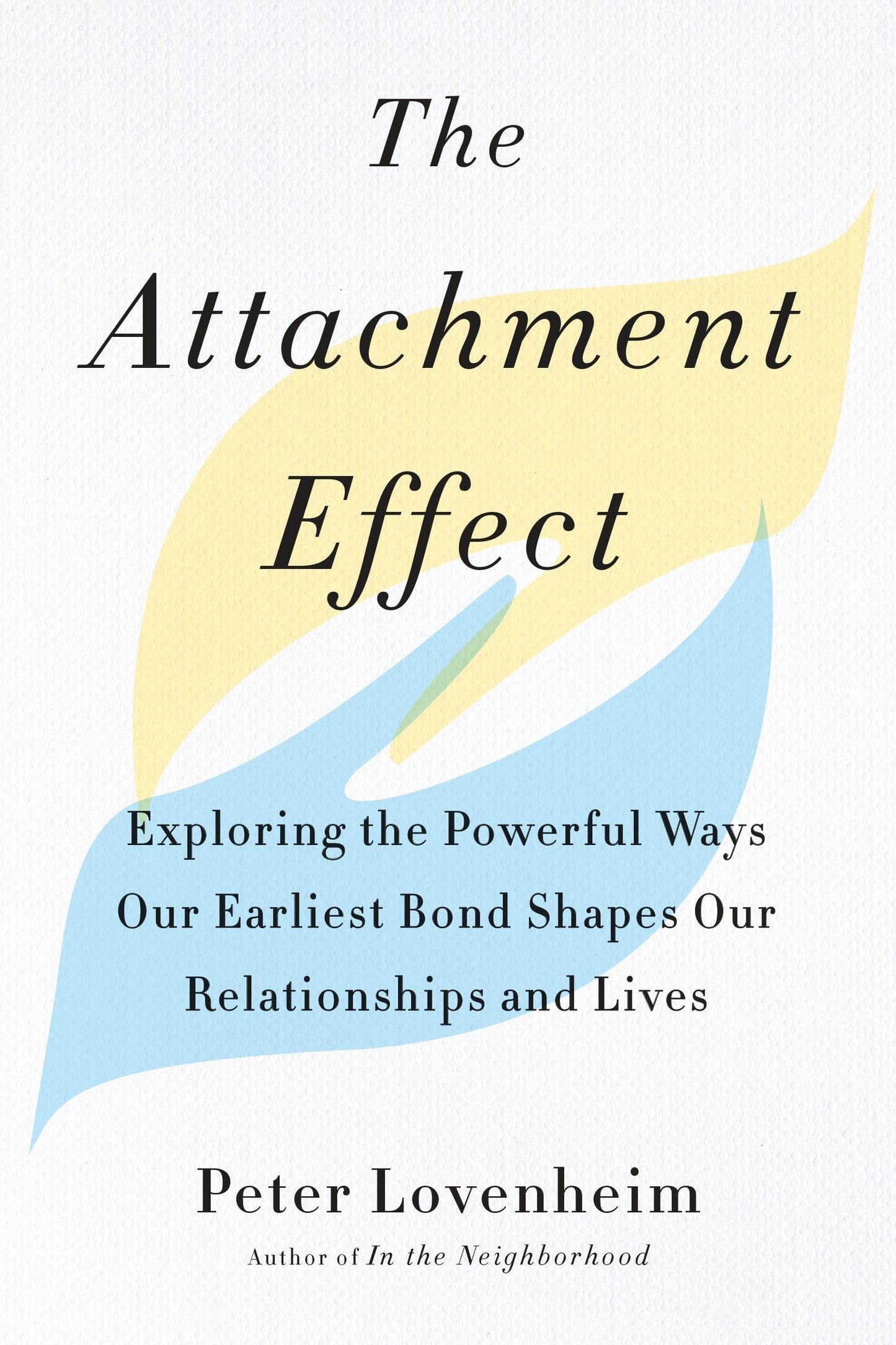 The Attachment Effect image 0