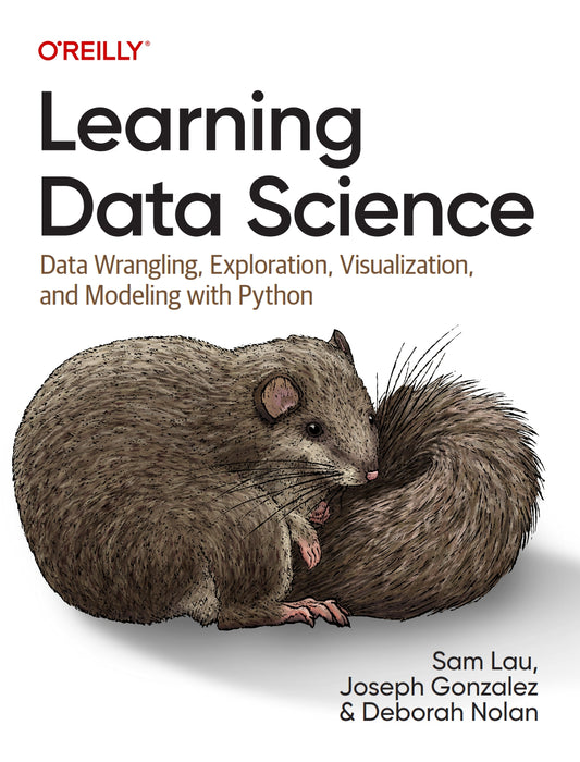 Learning Data Science image 0