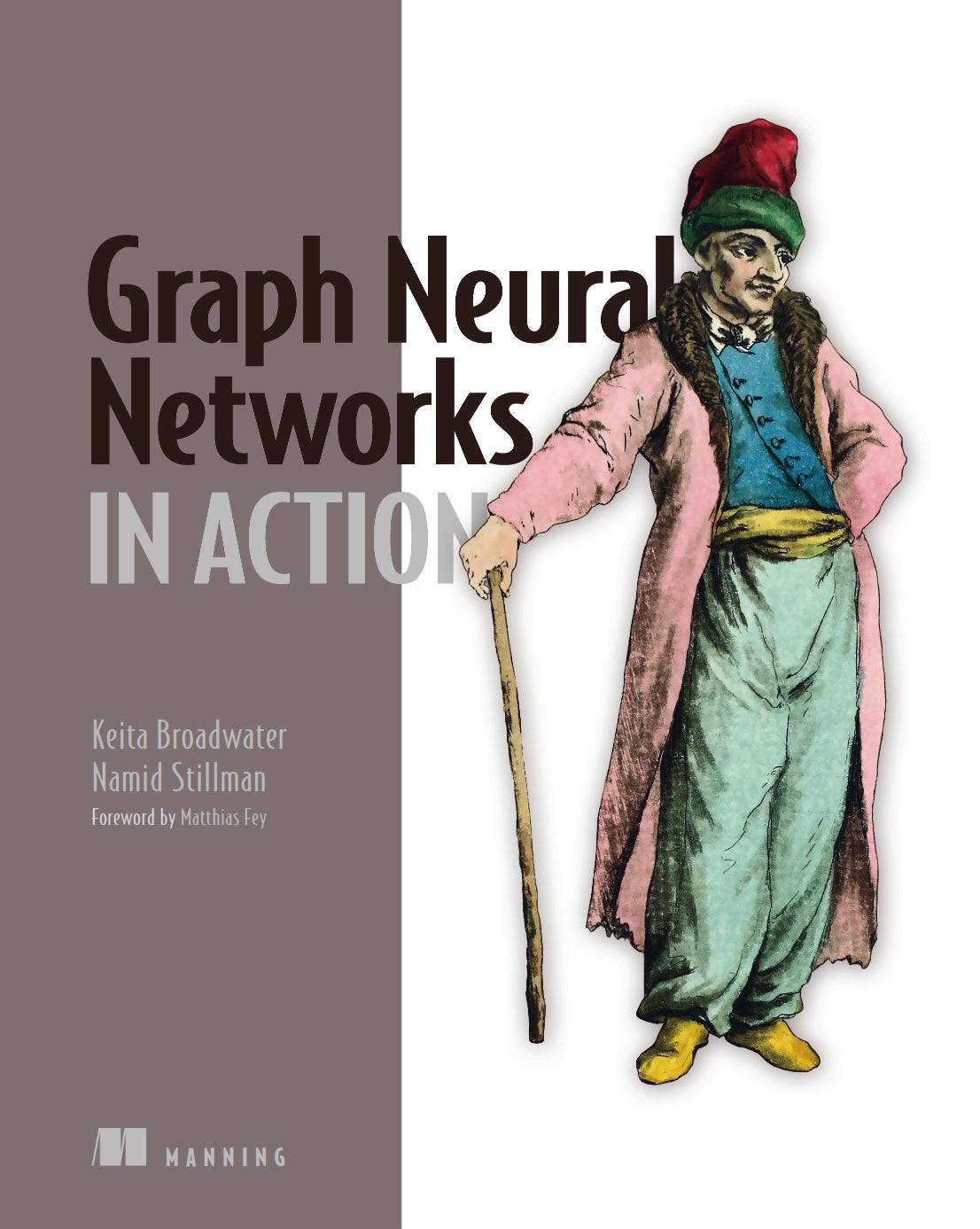 Graph Neural Networks in Action image 0