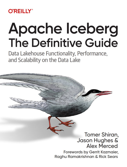 Apache Iceberg, The Definitive Guide image 0
