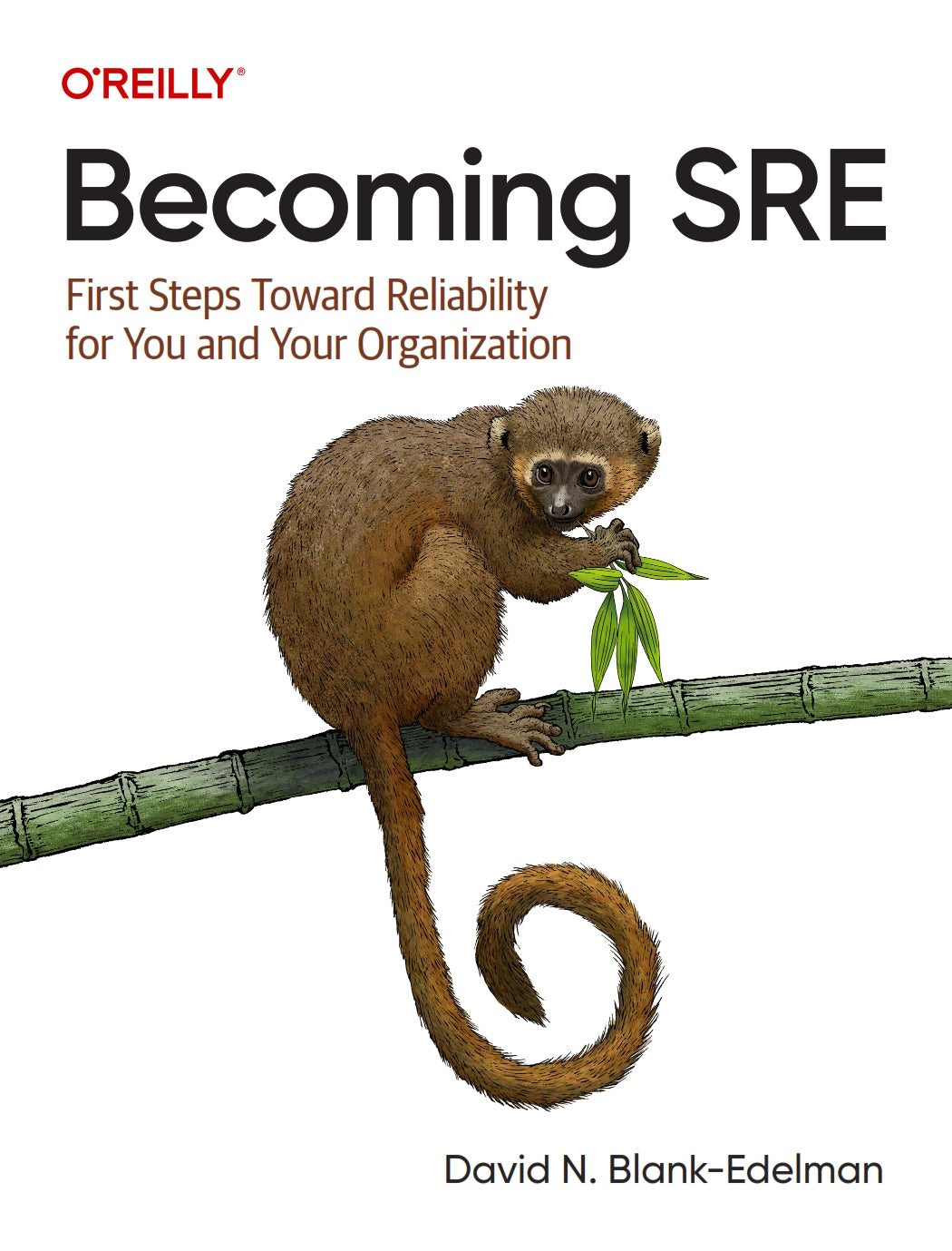 Becoming SRE image 0