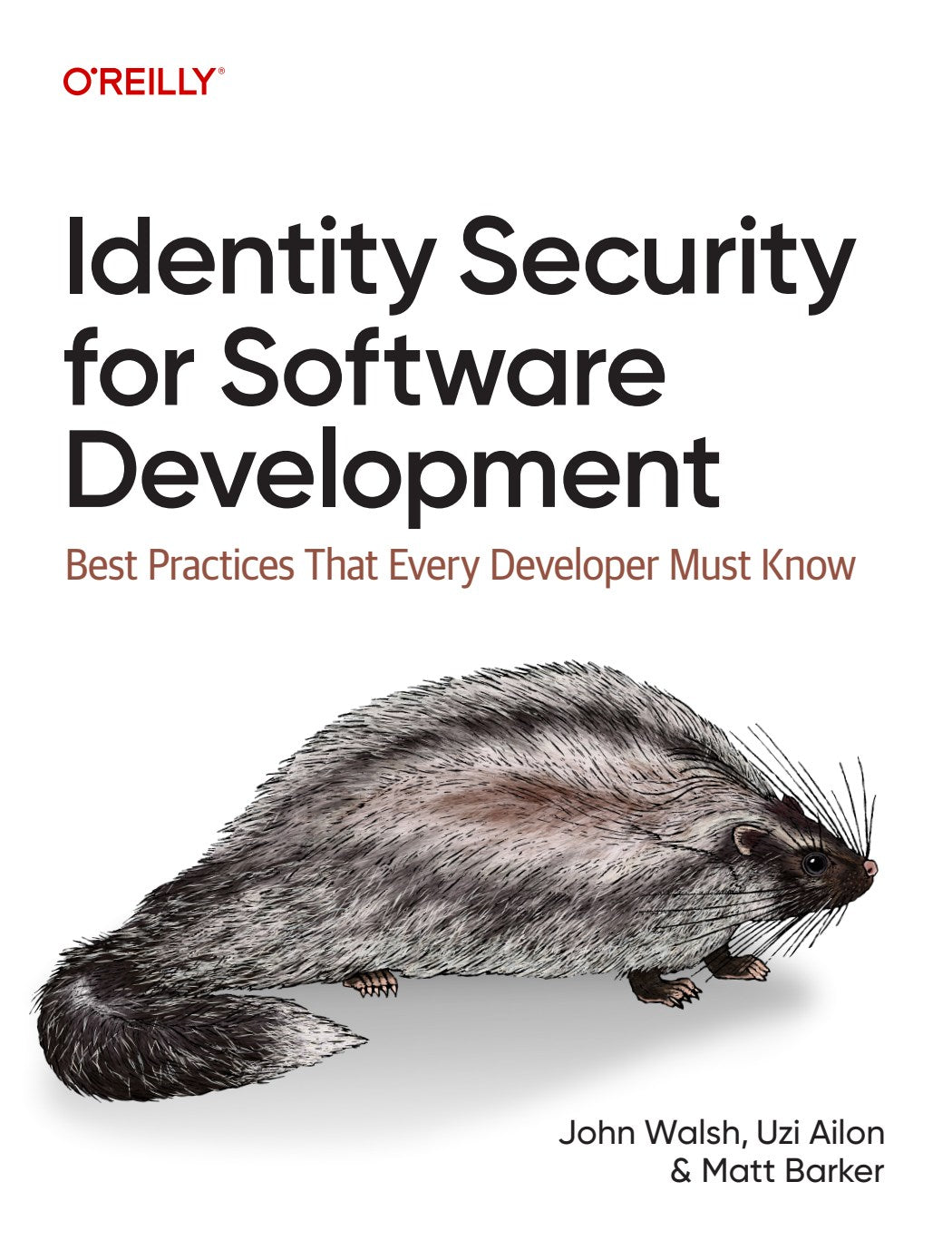 Identity Security for Software Development image 0