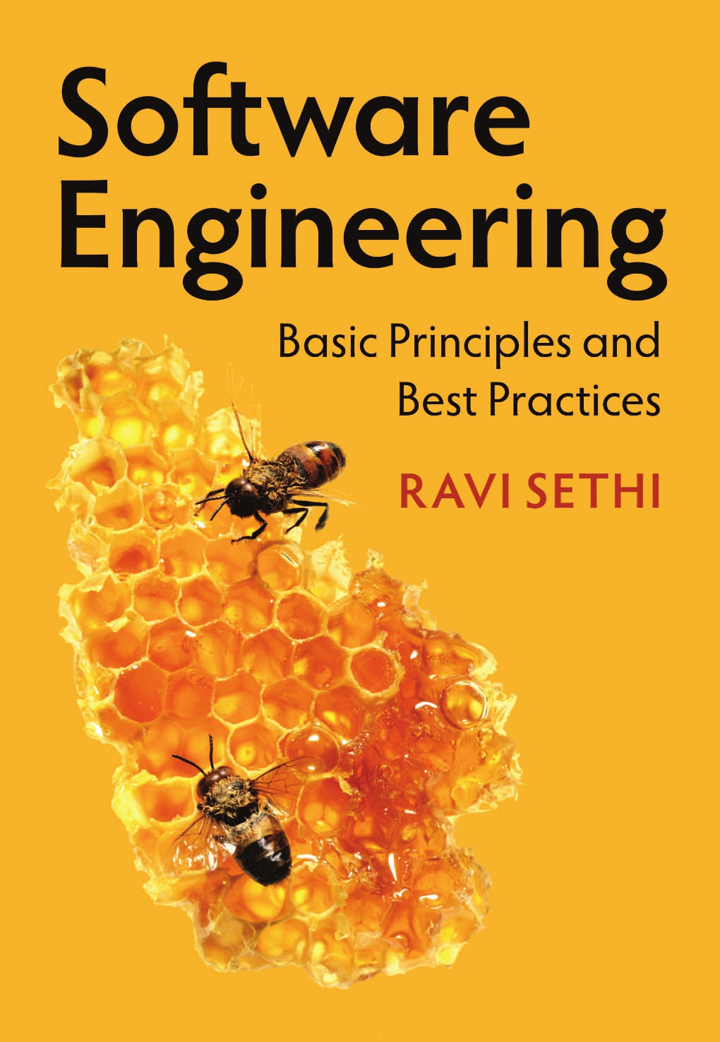 Software Engineering, Basic Principles and Best Practices image 0