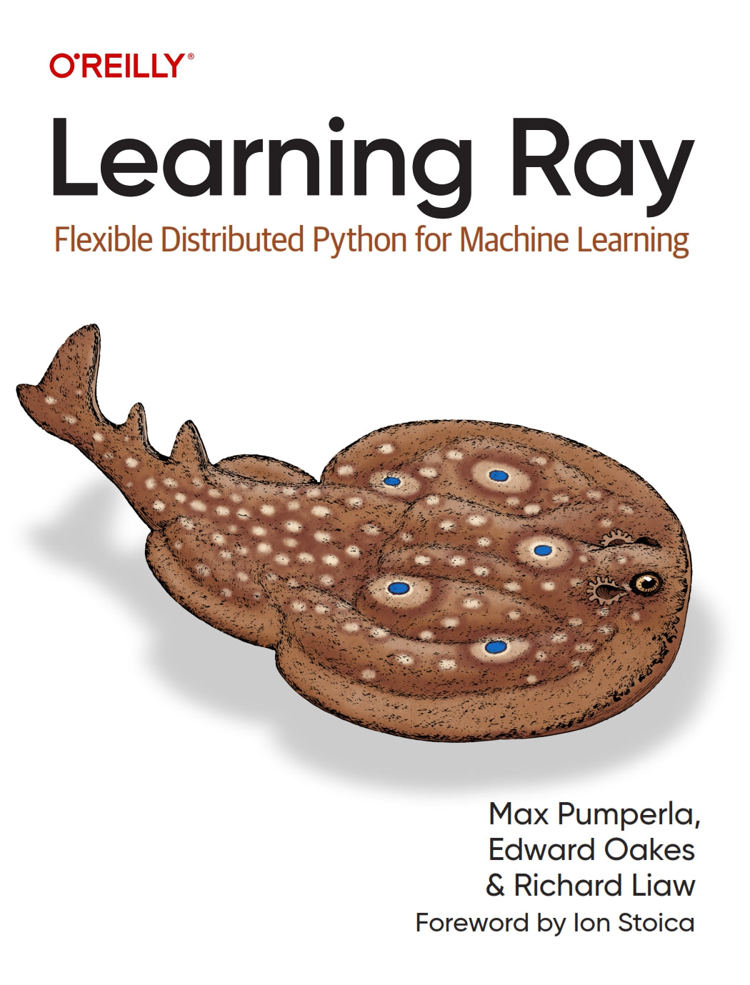 Learning Ray image 0