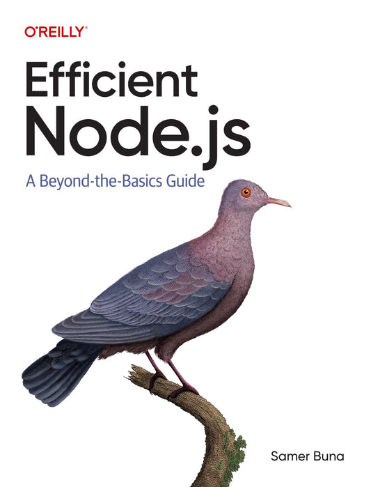 Efficient Node.js image 0