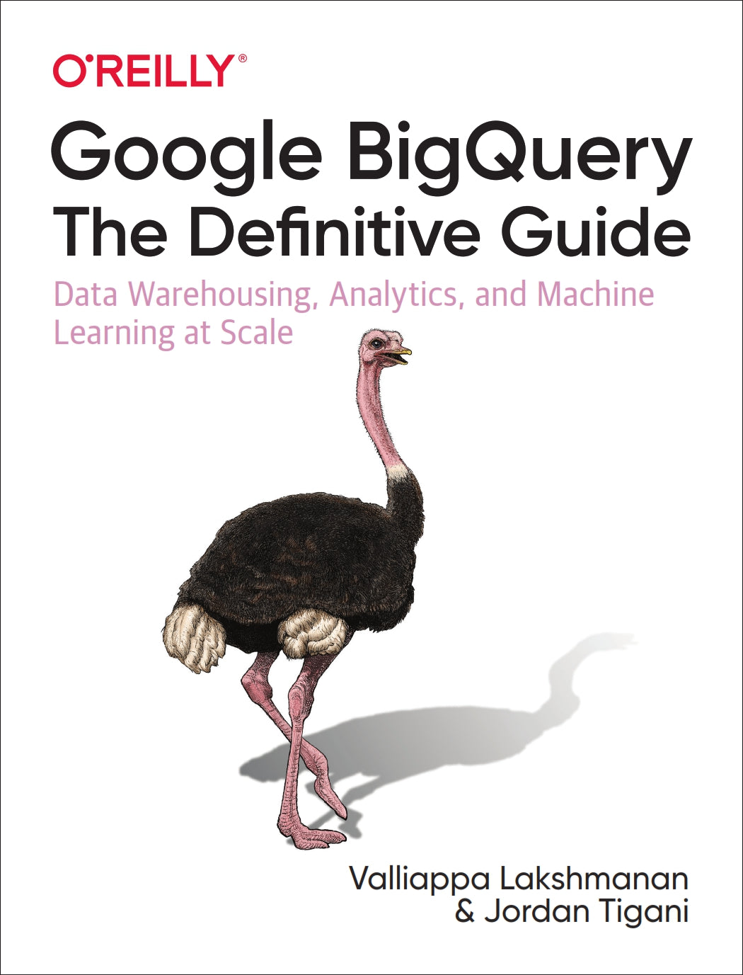 Google BigQuery, The Definitive Guide image 0